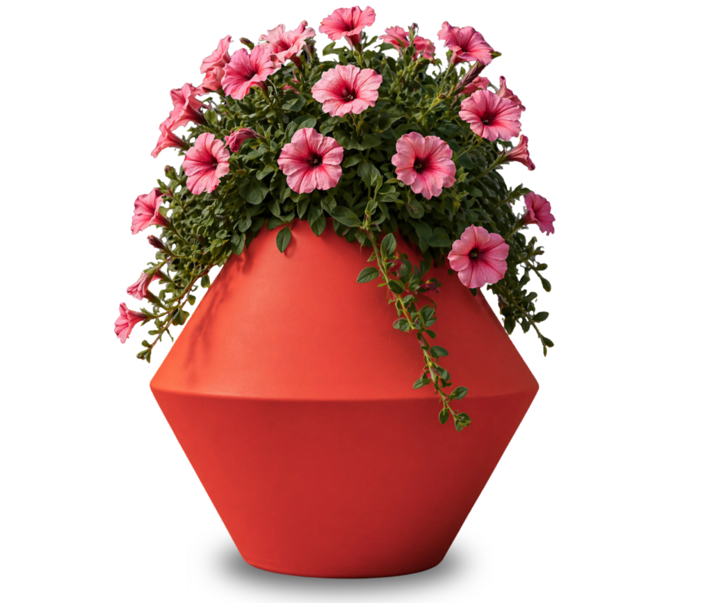 SILENE